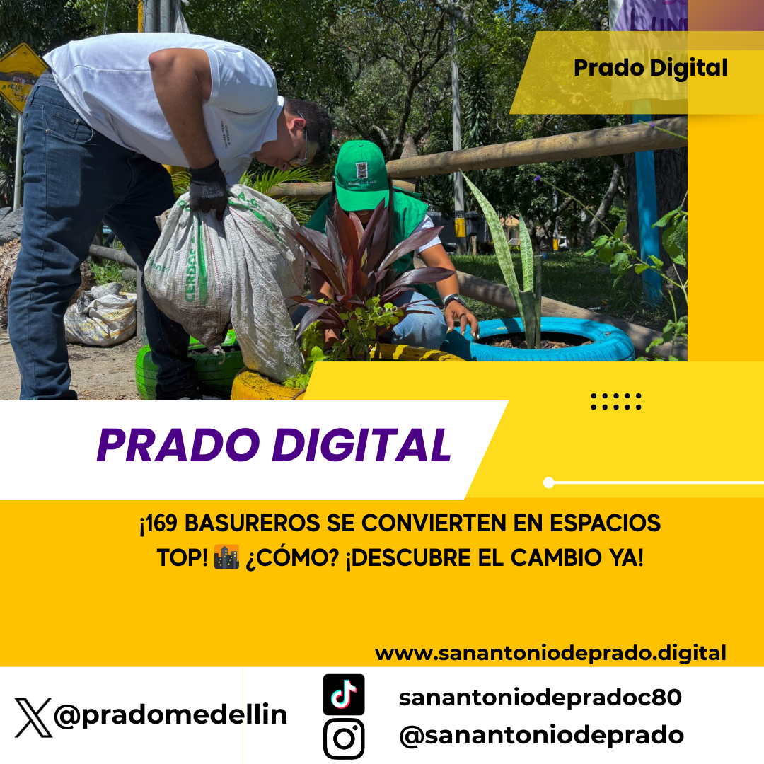 El Distrito impulsa la reconversión de 169 puntos críticos de residuos en espacios de calidad para los ciudadanos