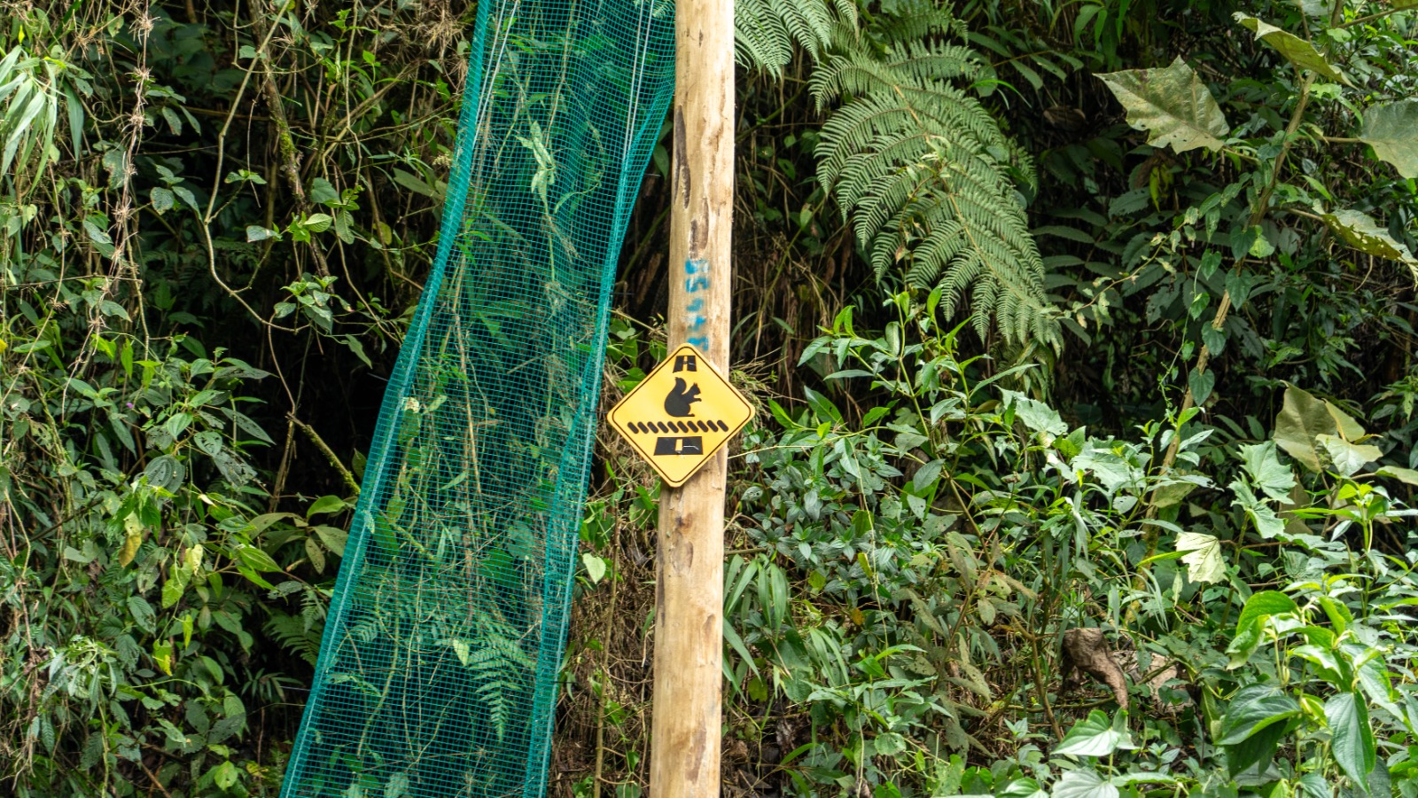 La Alcaldía instaló nuevos pasos para proteger a la fauna de atropellamientos en zonas críticas de Medellín 