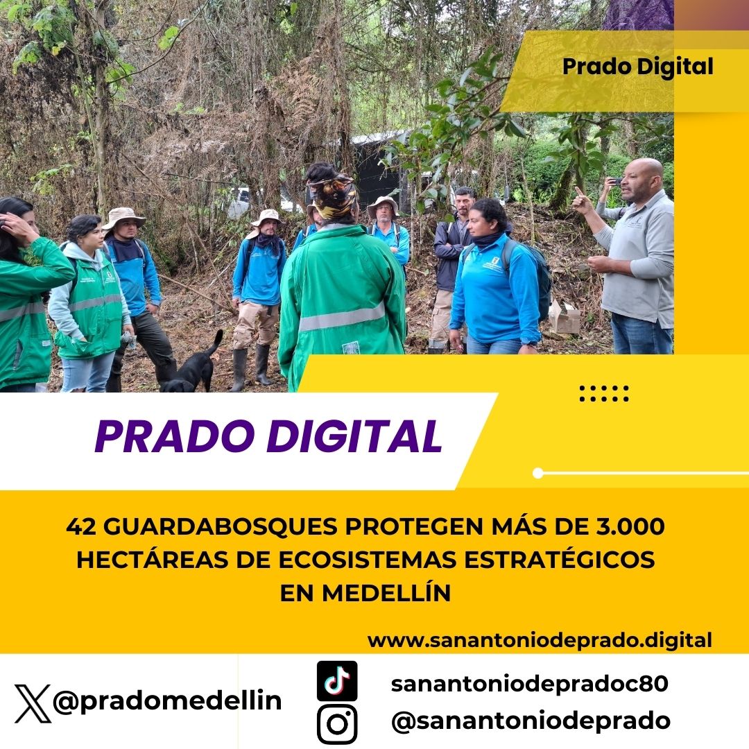 Guardabosques protegen 3.000 hectáreas Medellín