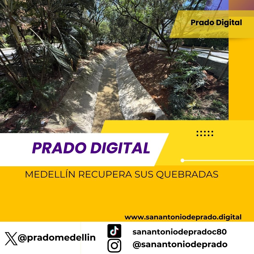 Medellín rescata quebradas ecosistemas vitales