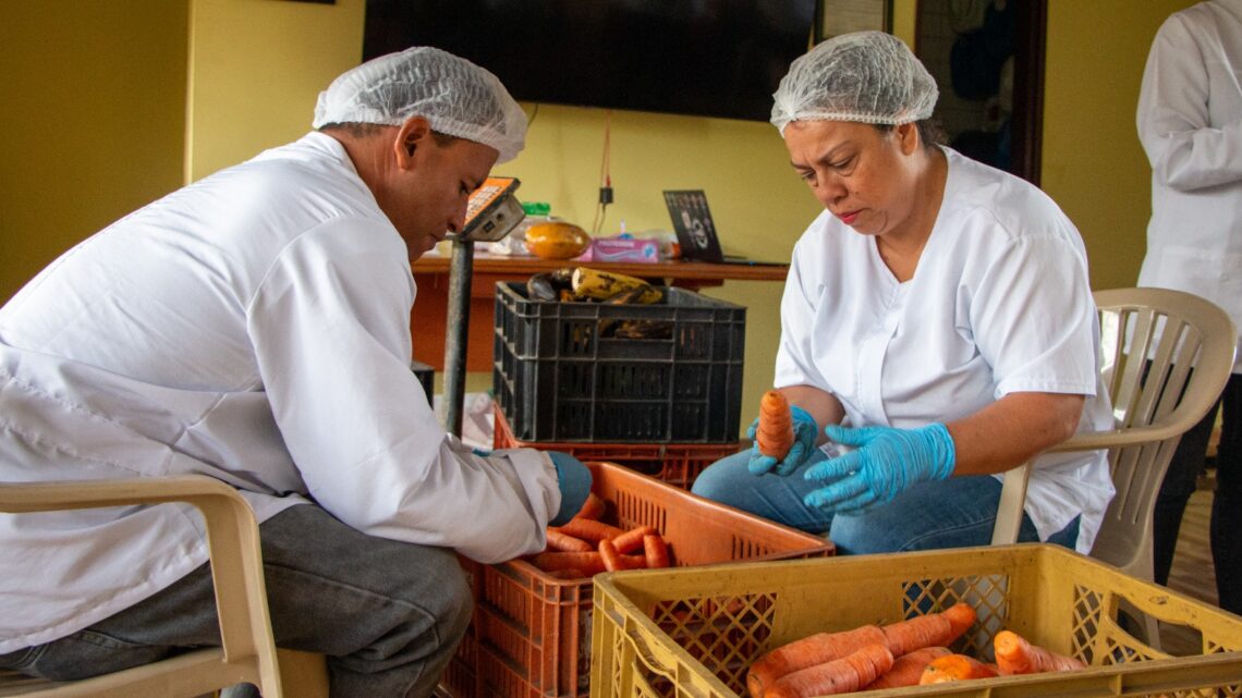 Campesinos de Medellín innovan para reducir desperdicio