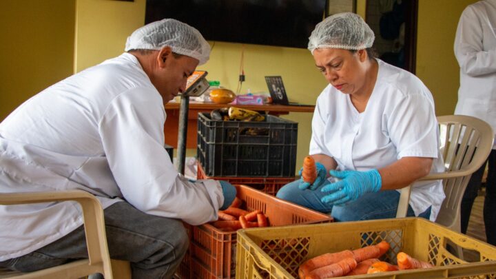 Campesinos de Medellín innovan para reducir desperdicio