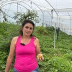 Productores agropecuarios de Medellín tendrán mejor infraestructura en beneficio de sus cultivos 