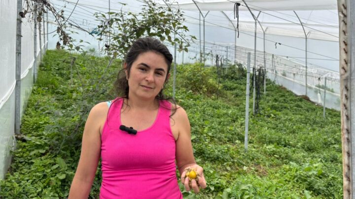 Productores agropecuarios de Medellín tendrán mejor infraestructura en beneficio de sus cultivos 