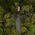 Nuevo paso para fauna en Medellín