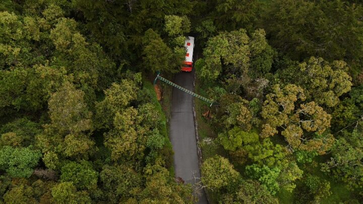 Nuevo paso para fauna en Medellín