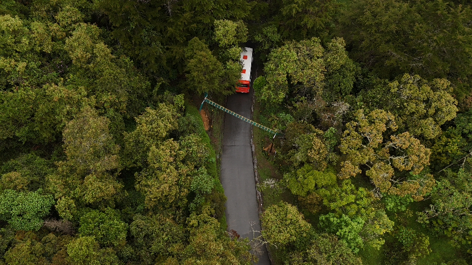 Nuevo paso para fauna en Medellín
