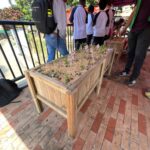 Centro de  Desarrollo Cultural  