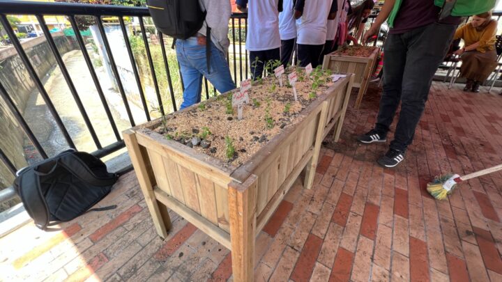 Centro de  Desarrollo Cultural  