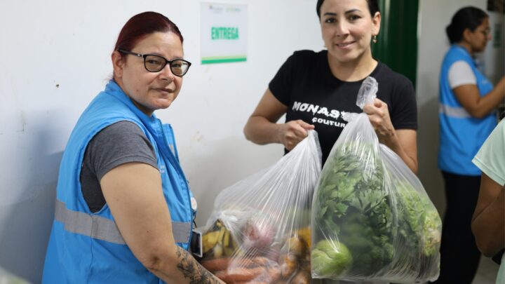 Medellín Cero  Hambre 