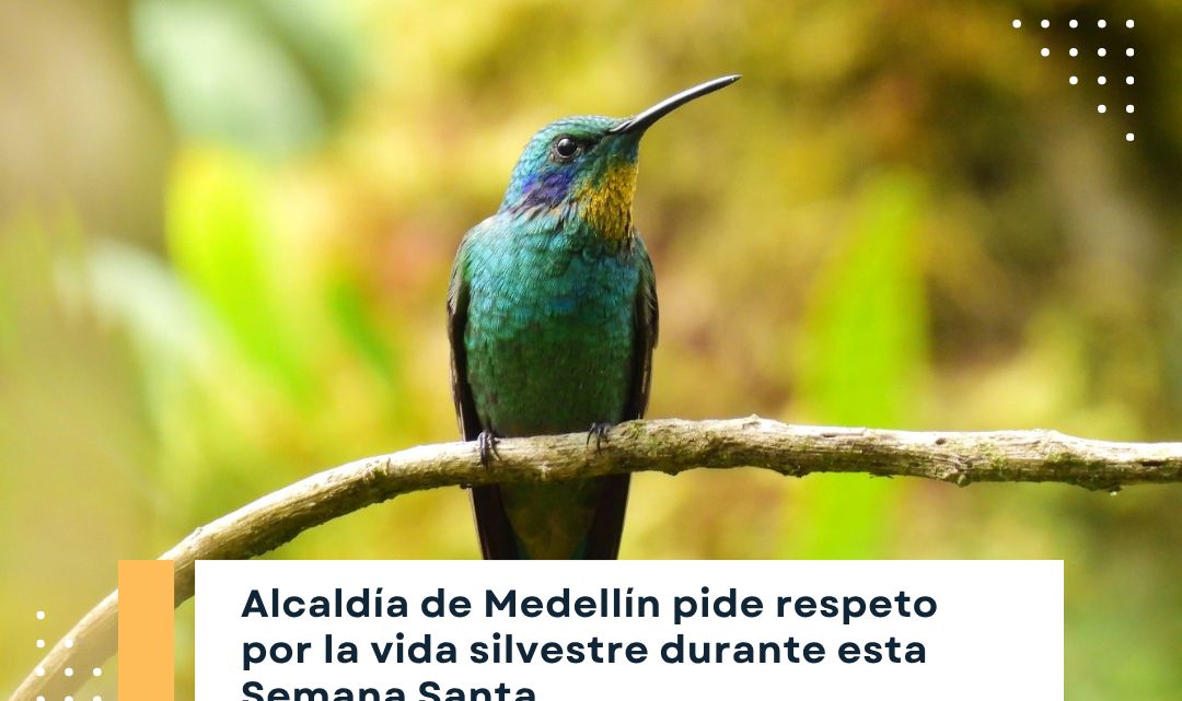 Semana Santa 2026 en Medellín