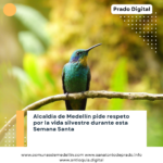 Semana Santa 2026 en Medellín