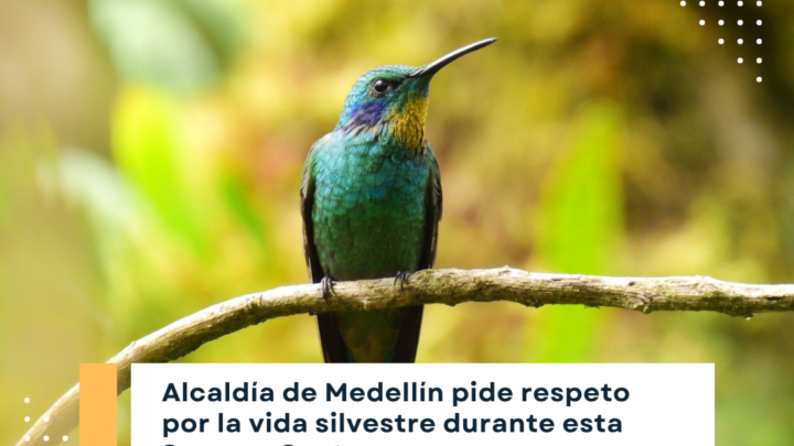 Semana Santa 2026 en Medellín