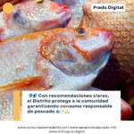 Guía para el consumo seguro de pescado en Medellín durante Semana Santa