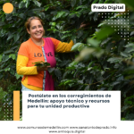 Emprendimientos agropecuarios en Medellín: Nueva convocatoria para mujeres y jóvenes rurales