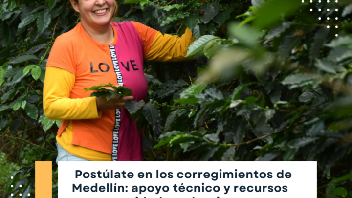 Emprendimientos agropecuarios en Medellín: Nueva convocatoria para mujeres y jóvenes rurales