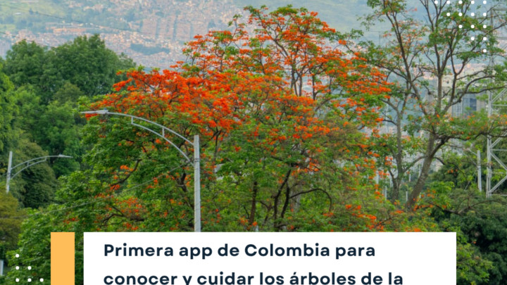App SAU Medellín