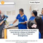 Curso Gratuito de Primeros Auxilios para Perros y Gatos en Medellín: Aprende a Salvar Vidas en Emergencias