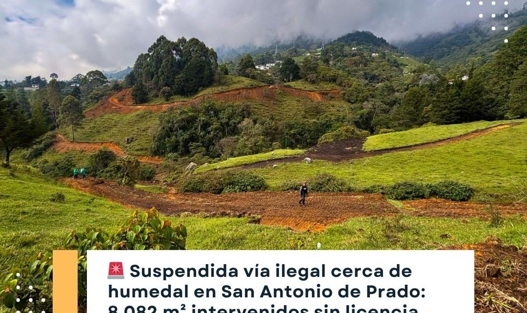 Suspendida Vía Ilegal Cerca Humedal San Antonio Prado
