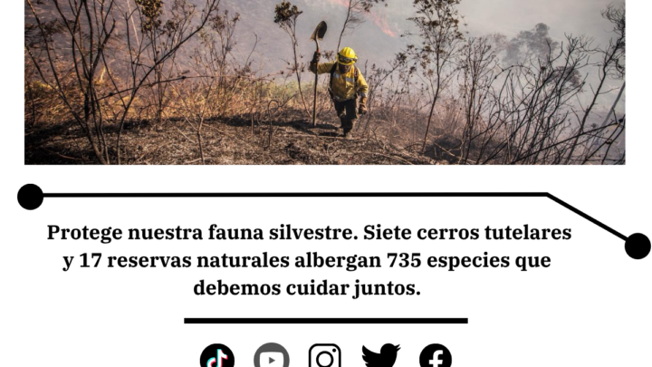 Medellín pide prevenir incendIOS y proteger la biodiversidad