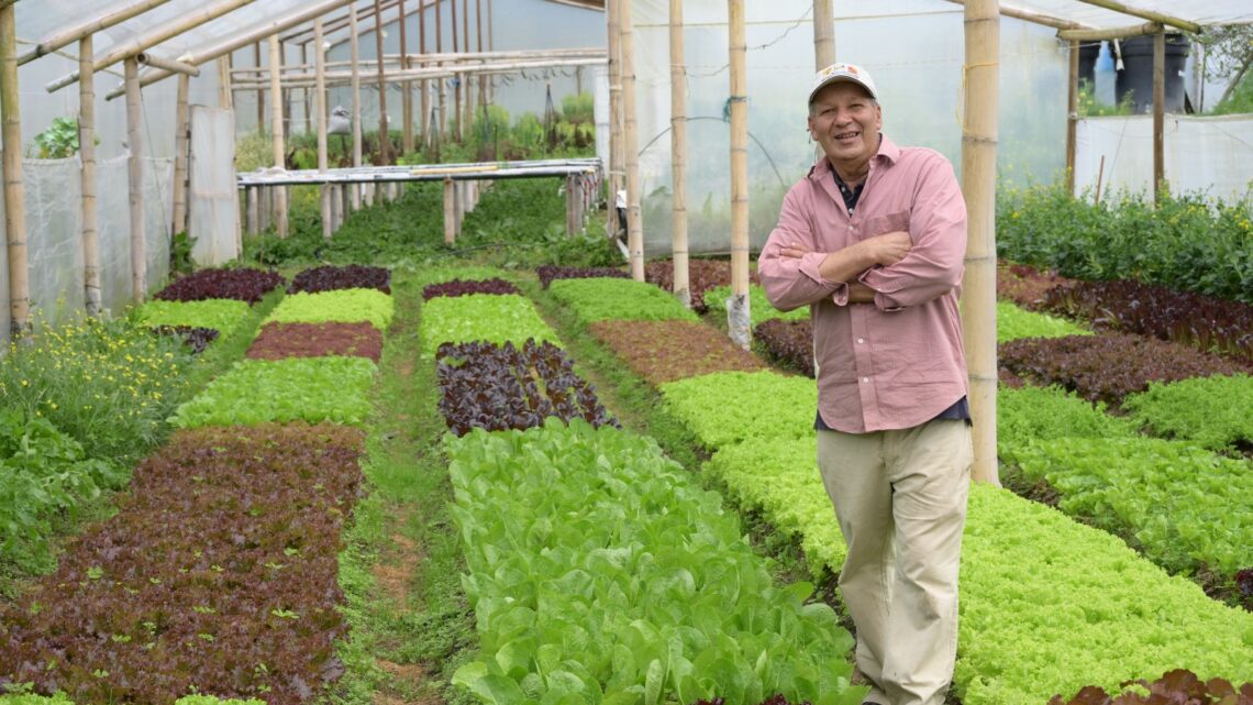 Día del Campesino