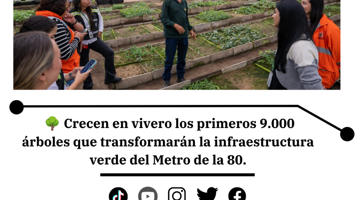 Metro de la 80: crecen 9.000 árboles para siembra