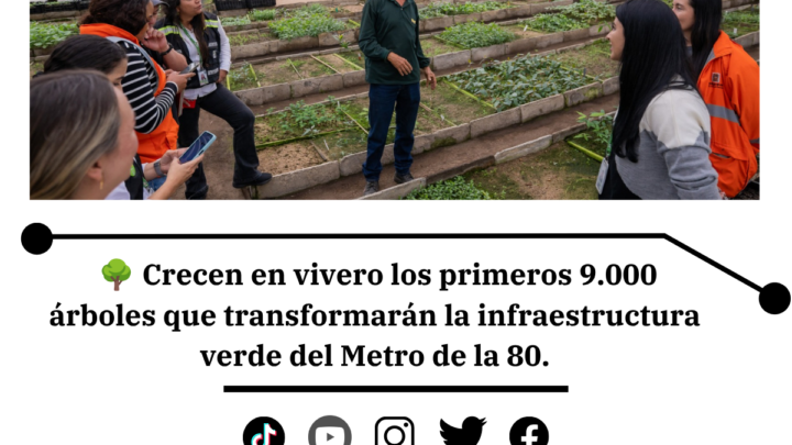 Metro de la 80: crecen 9.000 árboles para siembra